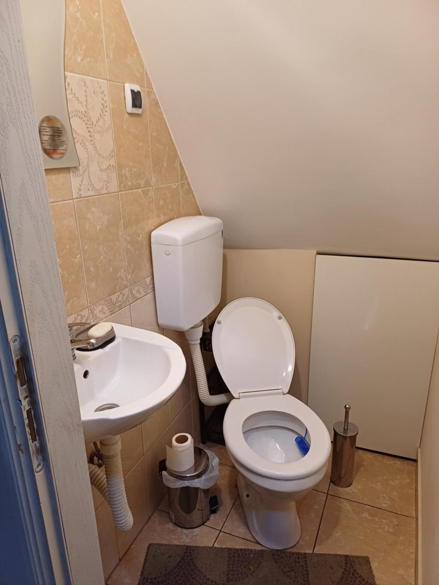 Sobe Sanja Hotel Pirot Værelse billede